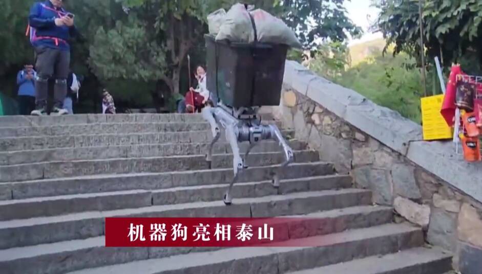 官方回应泰山机器狗将取代挑山工 网友评论来了